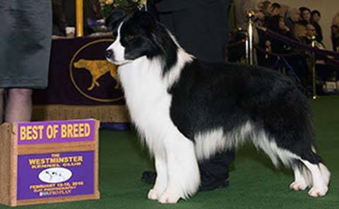 biorb pump not working